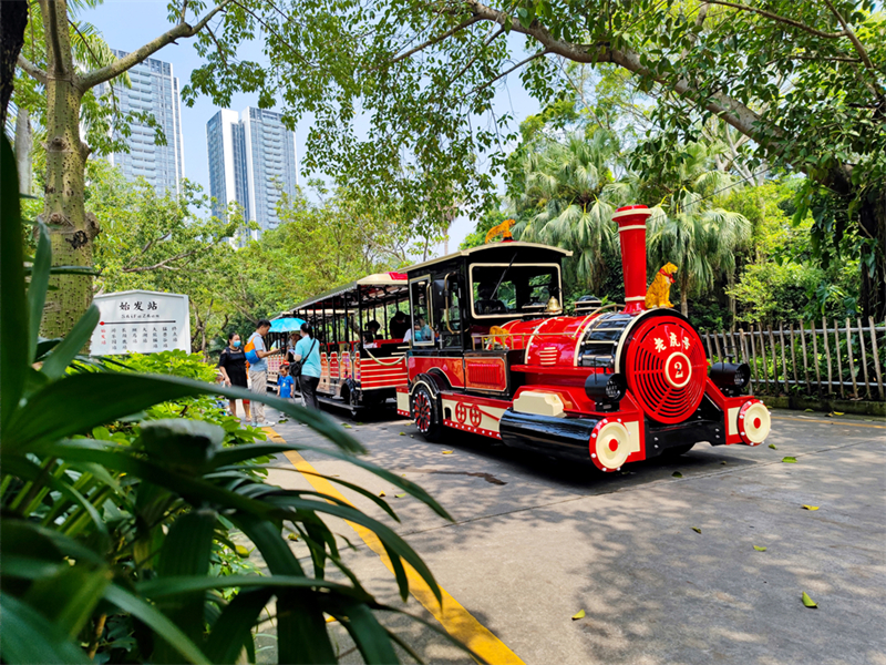 观光小火车|景区小火车|景区观光小火车厂家