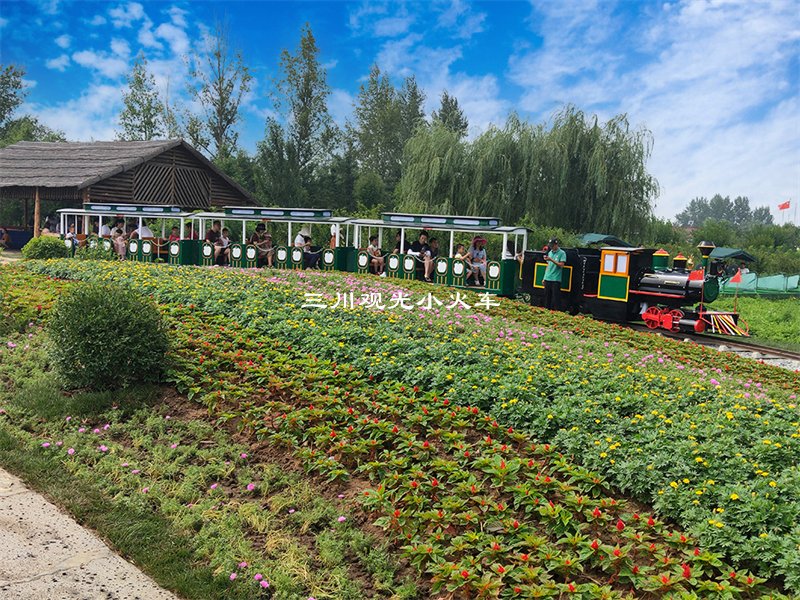 轨道小火车,轨道观光小火车,轨道观光旅游小火车厂家