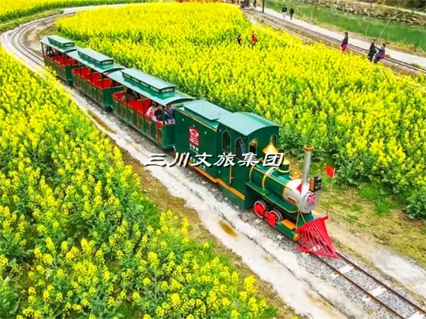 观光火车,景区小火车厂家,景区旅游观光小火车造价