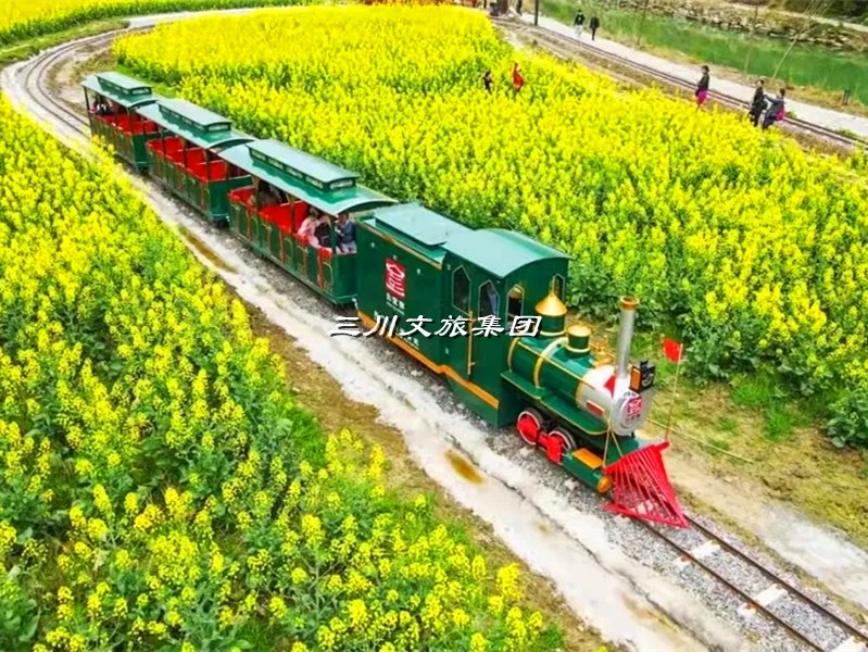 轨道观光小火车,轨道观光小火车厂家,轨道观光小火车价格