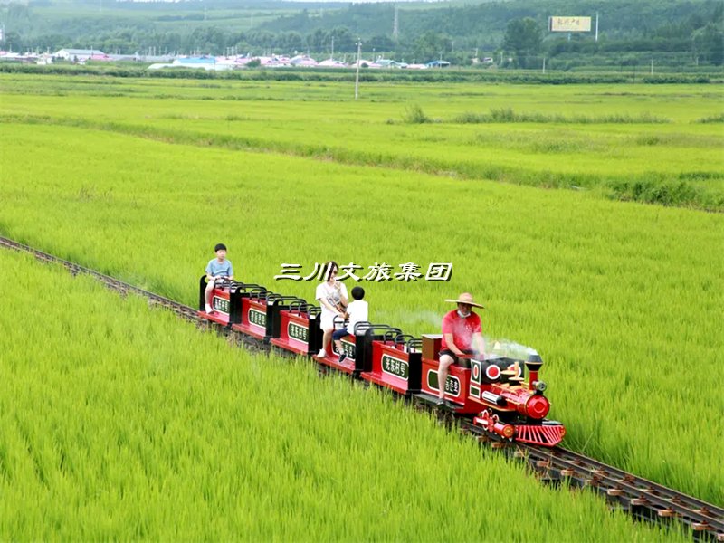 轨道观光小火车,轨道观光小火车厂家,轨道观光小火车价格