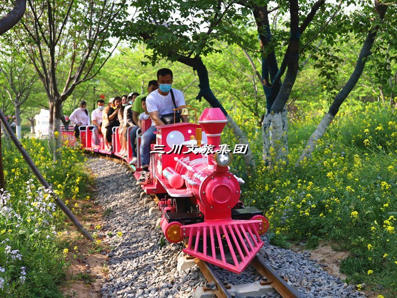 小火车,花海游乐小火车厂家,花海旅游观光小火车价格