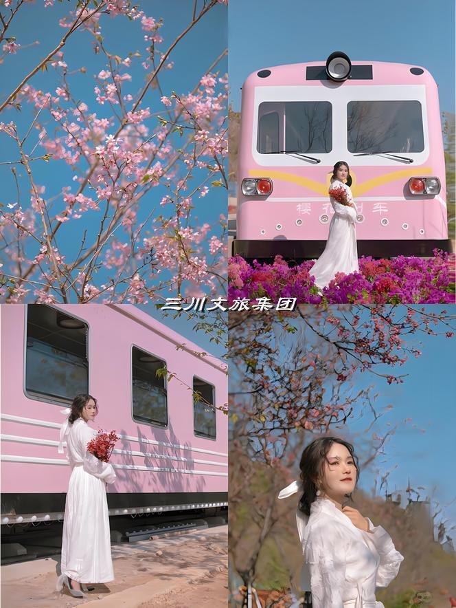 樱花列车生产厂家:河南三川文旅集团的出色表现