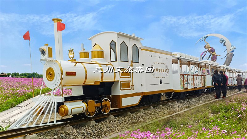 观光小火车项目如何融入教育元素?