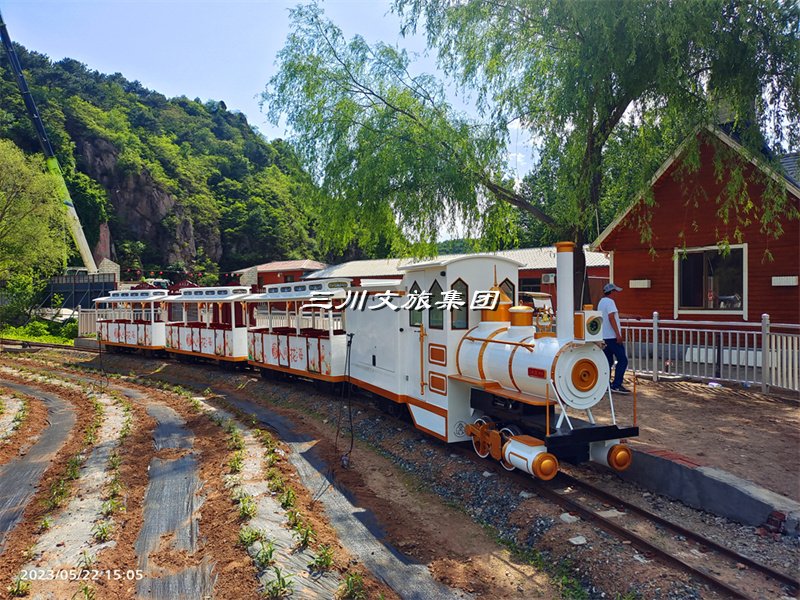 观光小火车:文化与旅游融合发展的强劲动力