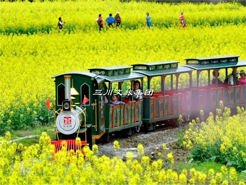 乡村花园农场观光小火车:开启田园风光之旅