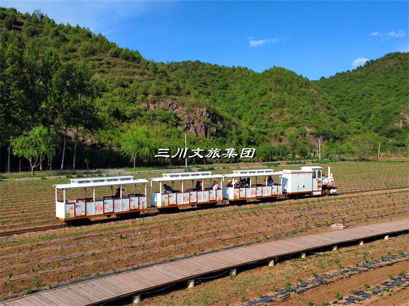 网红轨道观光小火车:开启文旅融合的新篇章
