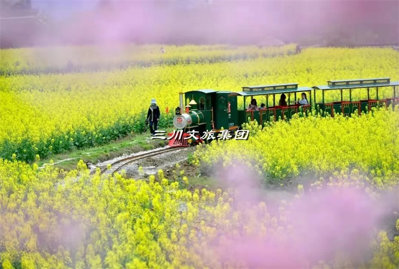 如何挑选合适的观光小火车:投资者必知的旅游场景攻略