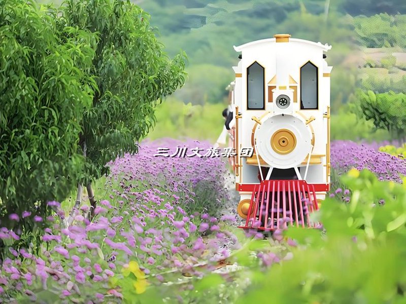 拥有观光小火车,打造景区爆款游览项目