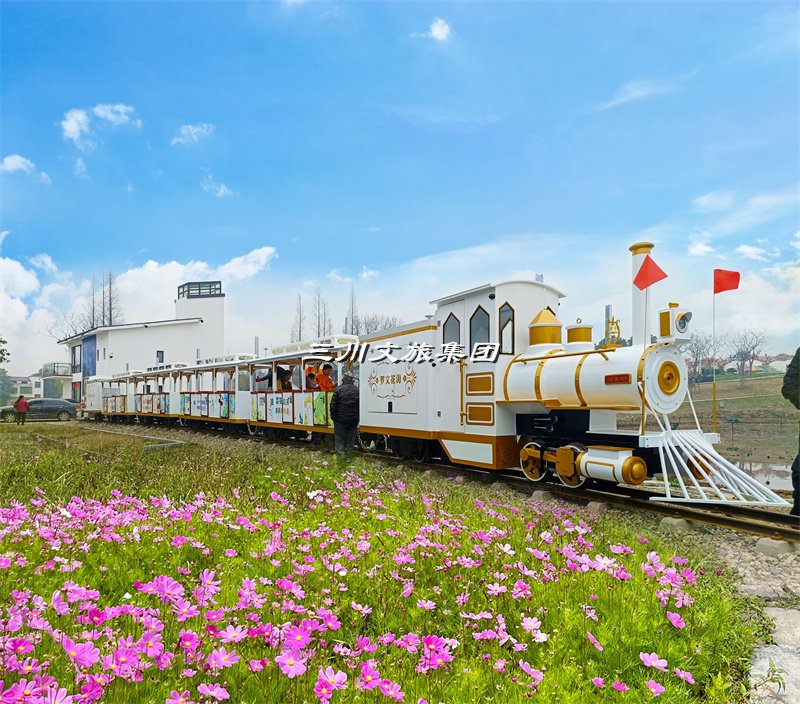 乘上花海小火车,体验城市新风貌!